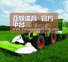 关于亚娱体育