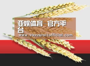 亚娱体育-官方平台
