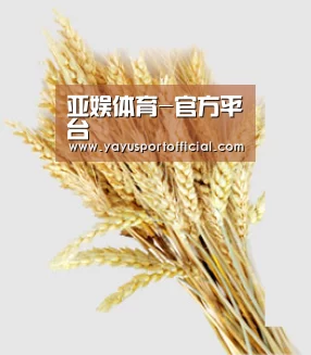 亚娱体育-官方平台