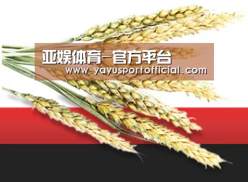 亚娱体育-官方平台