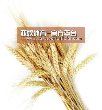 亚娱体育-官方平台
