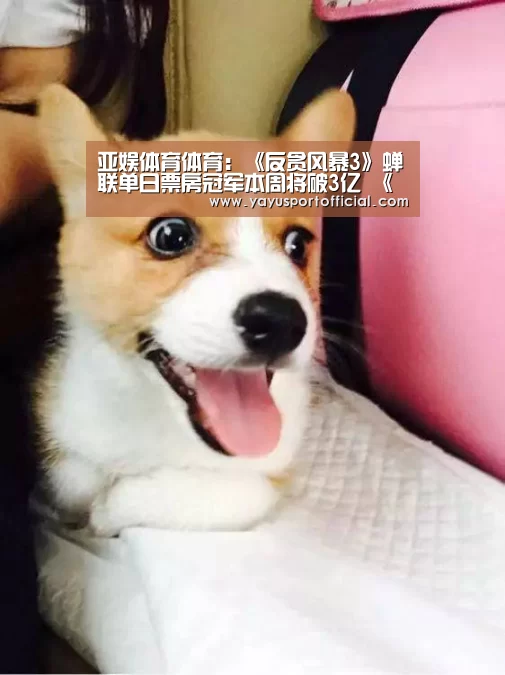 亚娱体育体育:《反贪风暴3》蝉联单日票房冠军本周将破3亿 《碟中谍6》首次跌破千万(图1) 亚娱体育